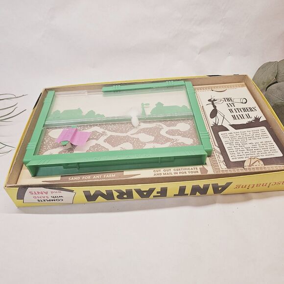 Vintage Ant Farm 1959 Fascinating Never Used EIC Grossman Live Ants! Older - Picture 8 of 15